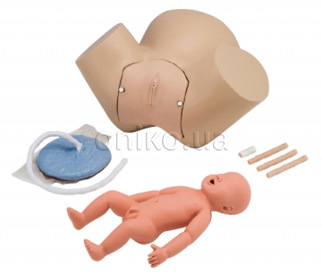 Obstetric Assistant Model Set