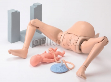 Obstetric Assistant Model Set type II, Hiroko