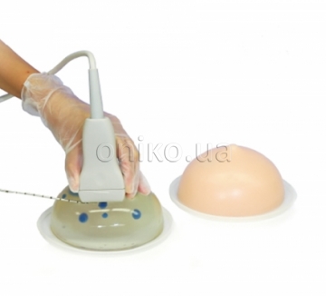 Ultrasound-Guided Breast Biopsy Phantom