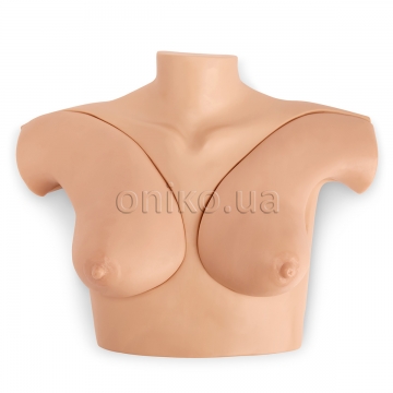 Ultrasound Breast Examination Skills Trainer