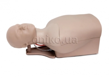 Ultrazvukový simulátor katetrizace centrální žíly