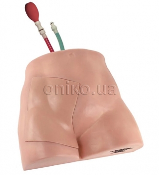 Ultrazvukový simulátor cévního přístupu ve femorální části