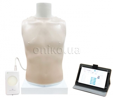 Auscultation Training Model