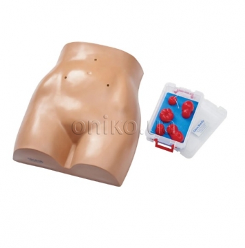 Stoma Care Torso