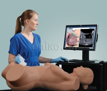 Ultrasound simulators